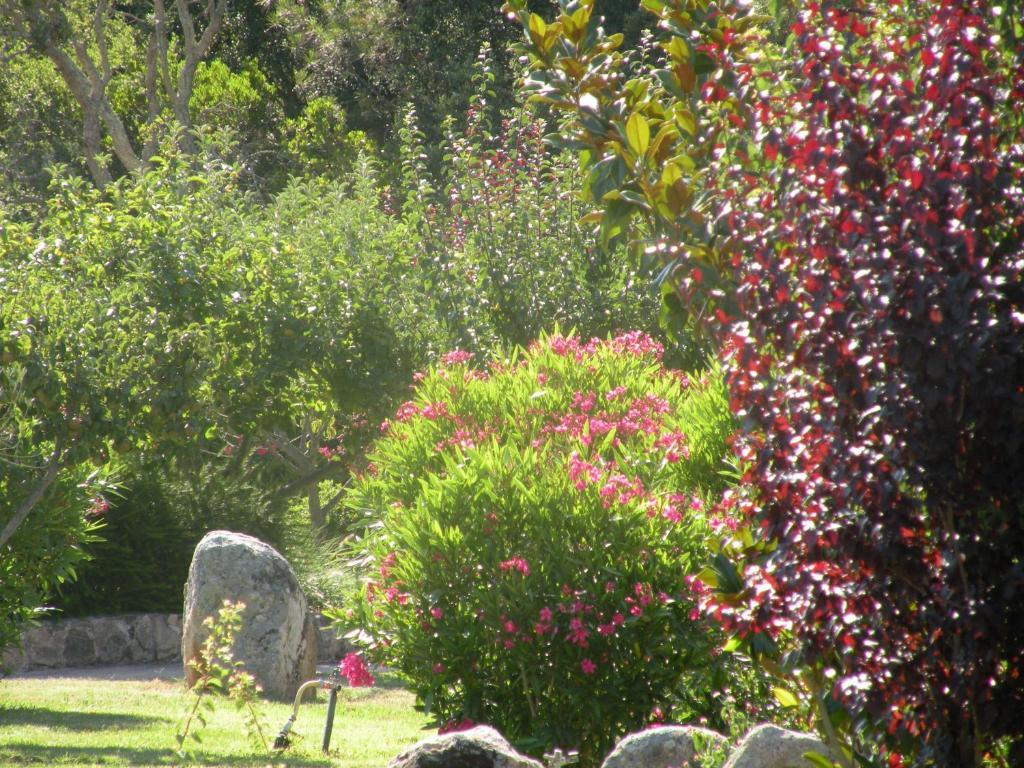 فندق بورتو فيكشْيوفي  Les Jardins De Santa Giulia المظهر الخارجي الصورة